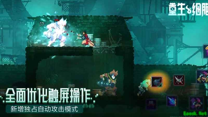 重生细胞极简通关路线