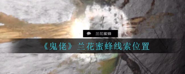 《孙美琪疑案：鬼佬》四级线索——兰花蜜蜂