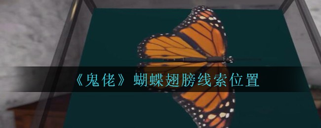 《孙美琪疑案：鬼佬》二级线索——蝴蝶翅膀