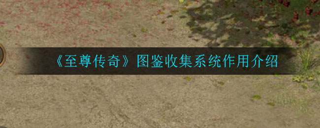 《至尊传奇》图鉴收集系统作用介绍