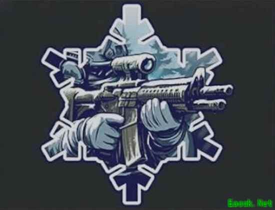 战地6新贴纸陷AI争议：玩家质疑质量呼吁整改