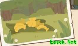 动物餐厅信件攻略合集