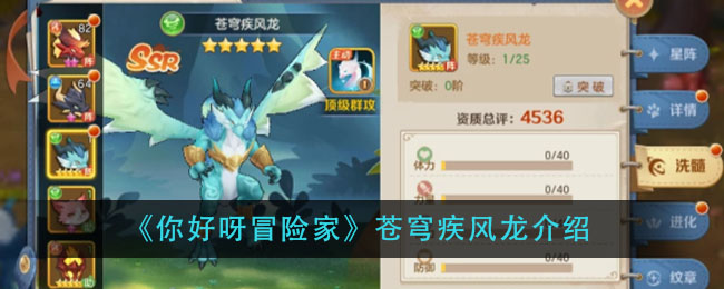 《你好呀冒险家》苍穹疾风龙介绍