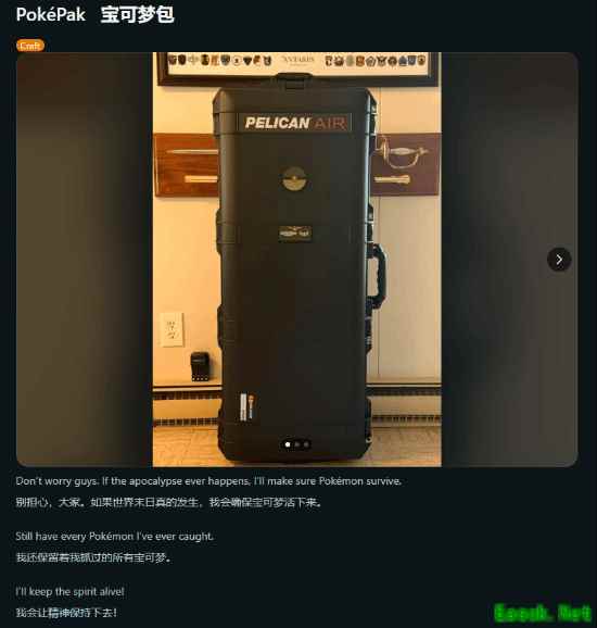 《宝可梦》玩家卡带特制包引热议 即便末日也能扛！