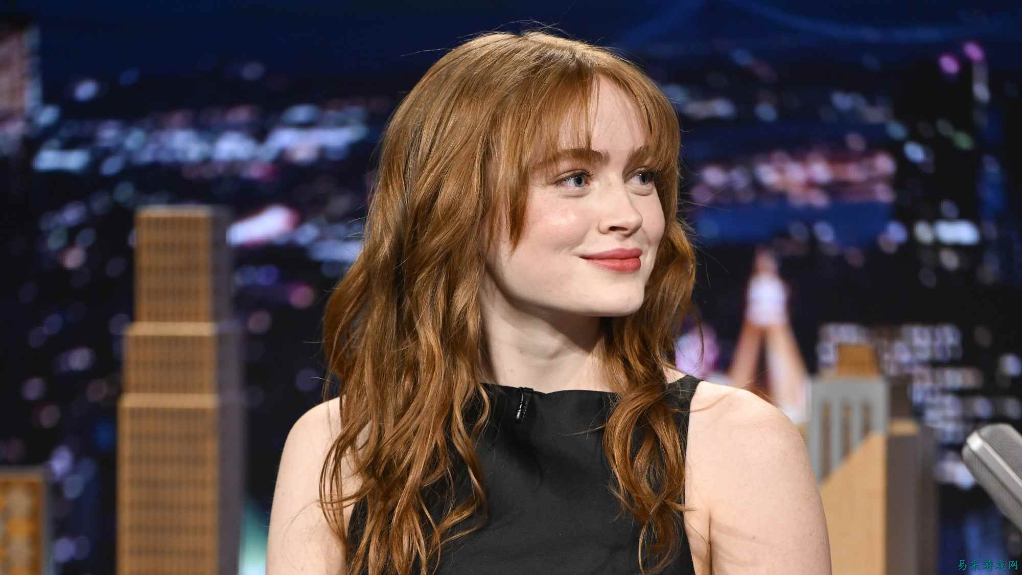 《怪奇物语》主演萨迪·辛克解读小十一的结局