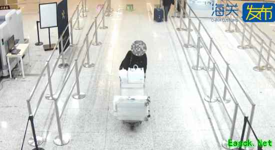 你的游戏机被查了！125台二手GameBoy海关被截