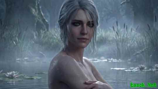 沙漠还是寒冬？ IGN波兰记者分析《巫师3》新DLC地点