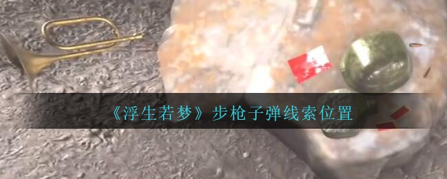 《孙美琪疑案：浮生若梦》五级线索——步枪子弹