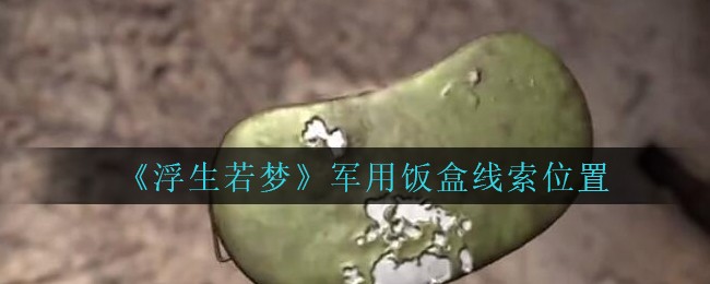 《孙美琪疑案：浮生若梦》五级线索——军用饭盒