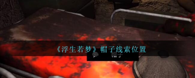 《孙美琪疑案：浮生若梦》四级线索——帽子