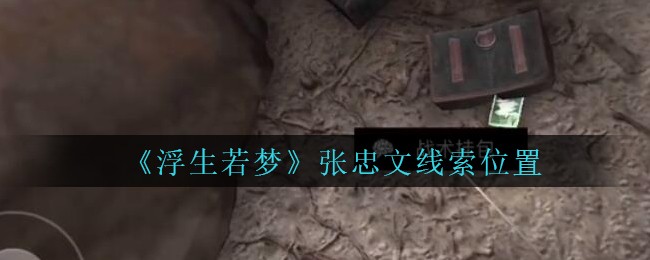 《孙美琪疑案：浮生若梦》五级线索——张忠文