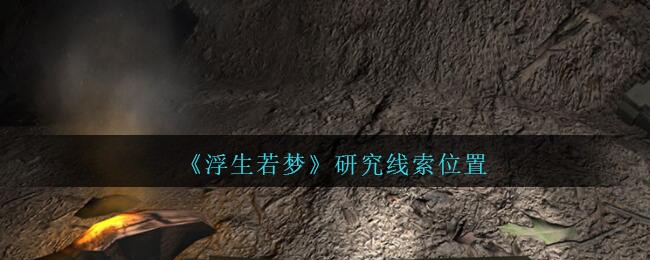《孙美琪疑案：浮生若梦》三级线索——研究