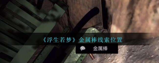 《孙美琪疑案：浮生若梦》三级线索——金属棒