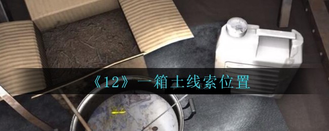 《孙美琪疑案：12》五级线索——一箱土