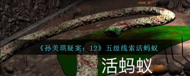 《孙美琪疑案：12》五级线索——活蚂蚁