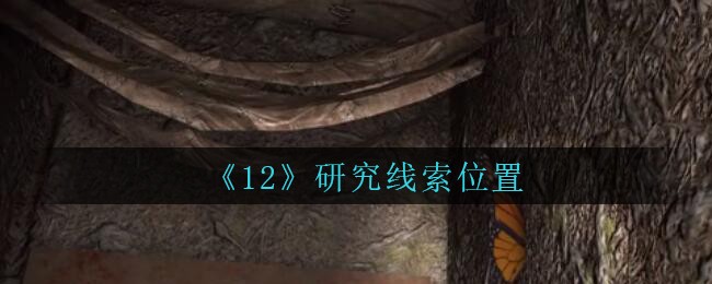 《孙美琪疑案：12》五级线索——研究