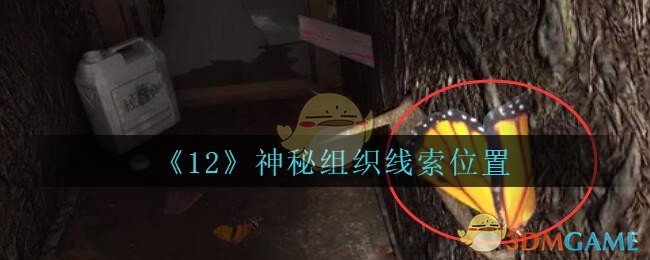 《孙美琪疑案：12》五级线索——神秘组织