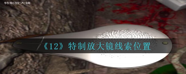 《孙美琪疑案：12》五级线索——特制放大镜