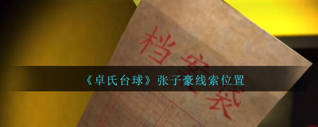 《孙美琪疑案：卓氏台球》四级线索——张子豪