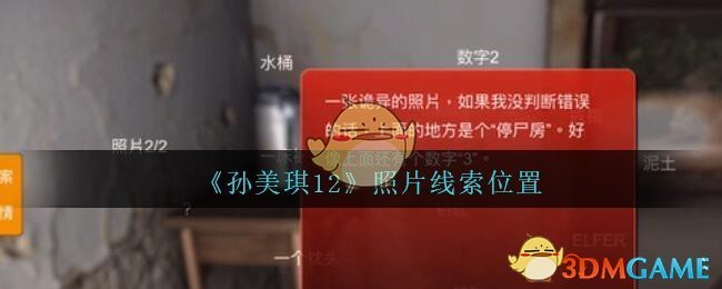 《孙美琪疑案：12》四级线索——照片