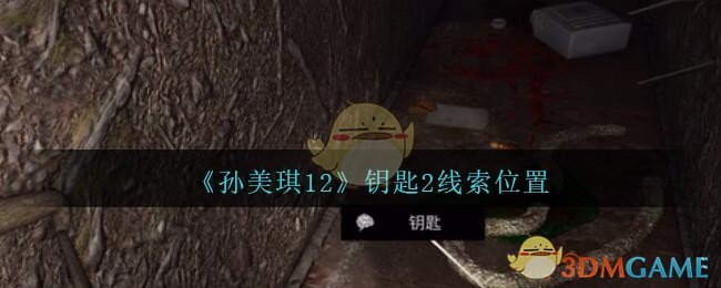 《孙美琪疑案：12》四级线索——钥匙2