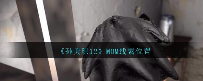 《孙美琪疑案：12》四级线索——MOM