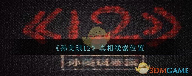 《孙美琪疑案：12》一级线索——真相