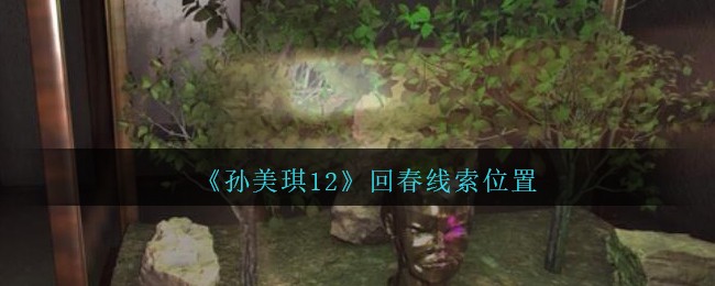 《孙美琪疑案：12》二级线索——回春