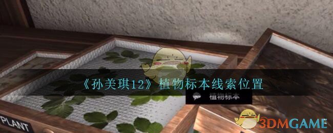 《孙美琪疑案：12》三级线索——植物标本