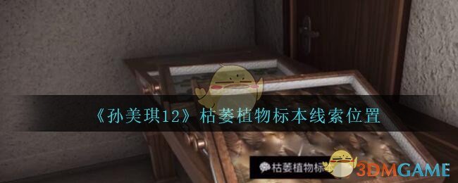 《孙美琪疑案：12》三级线索——枯萎植物标本