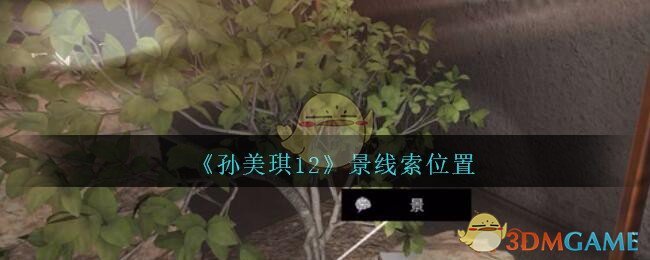 《孙美琪疑案：12》三级线索——景