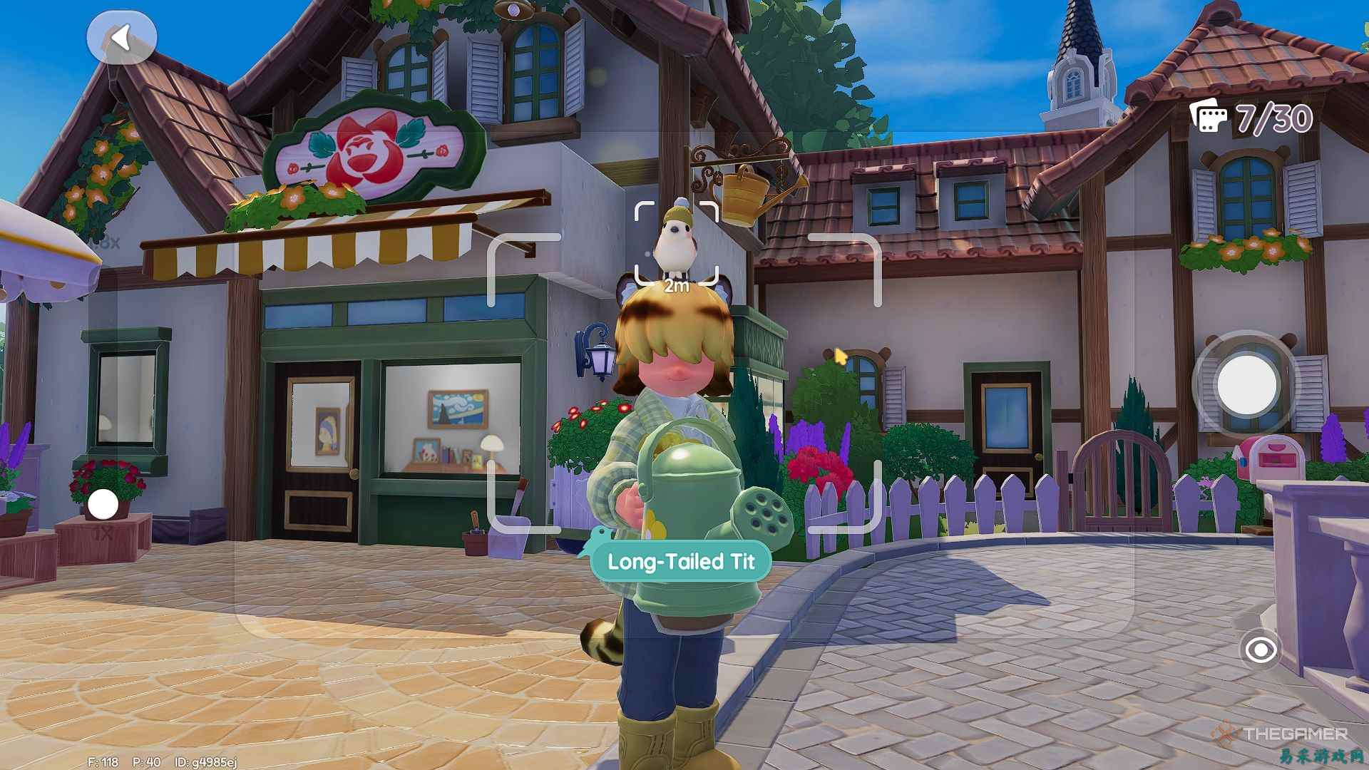 《心动小镇》全鸟类图鉴及位置分布攻略