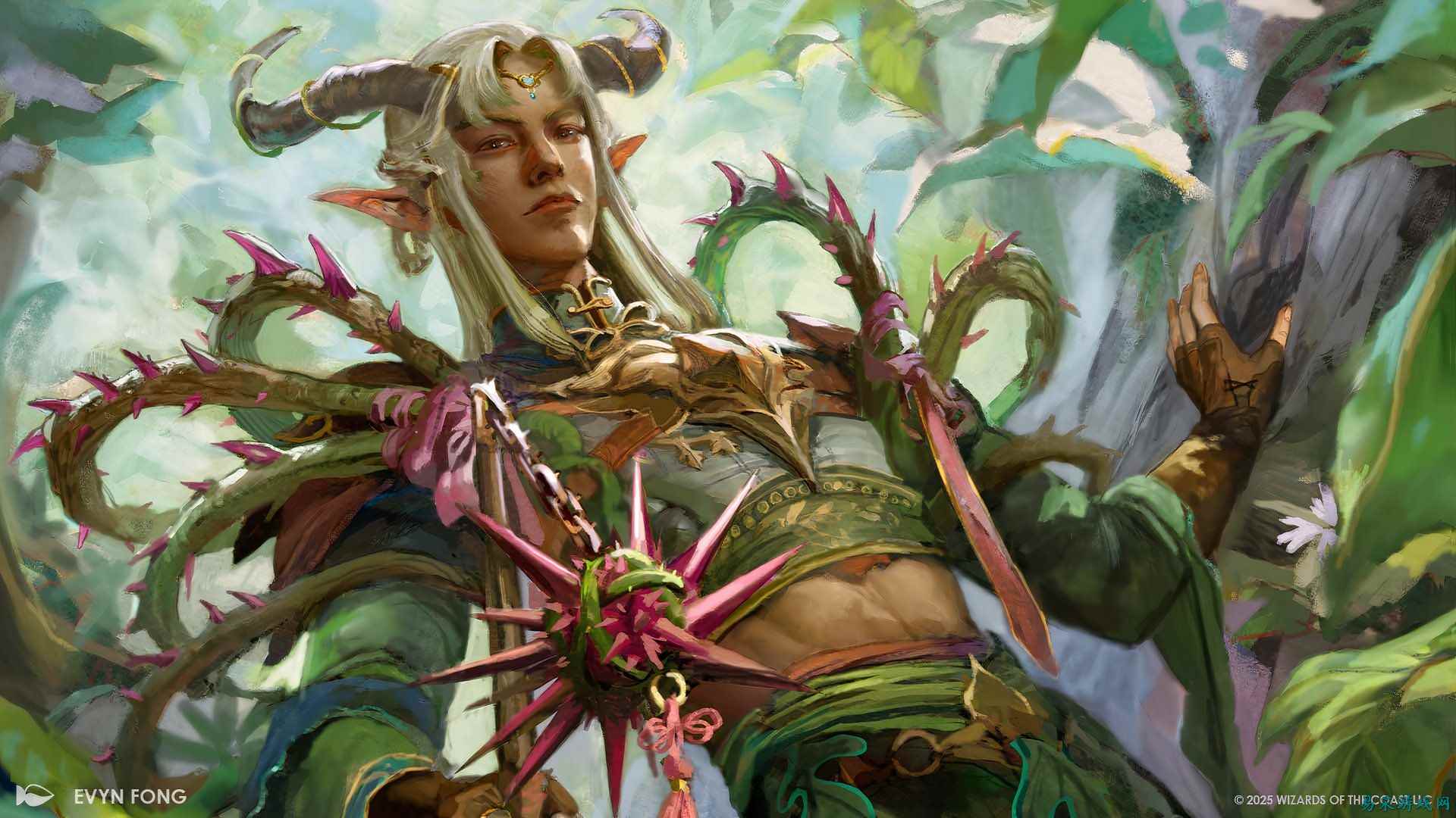 你该购买哪款“洛温蚀刻”万智牌产品？理由是什么？