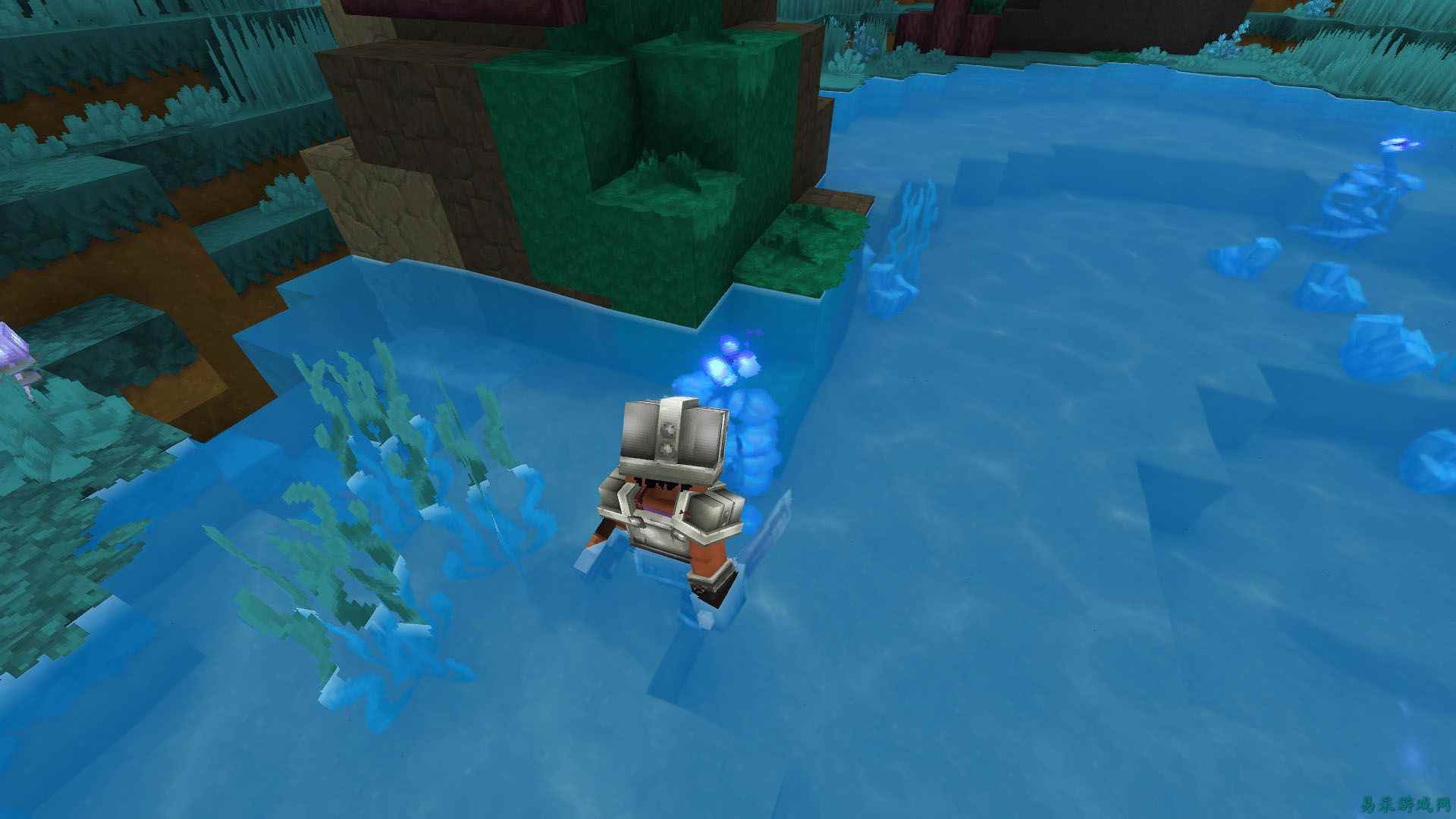 如何在《Hytale》中获得蔚蓝海带