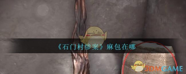 《孙美琪疑案：石门村惨案》五级线索——麻包