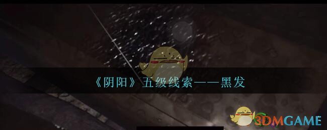 《孙美琪疑案：阴阳》五级线索——黑发