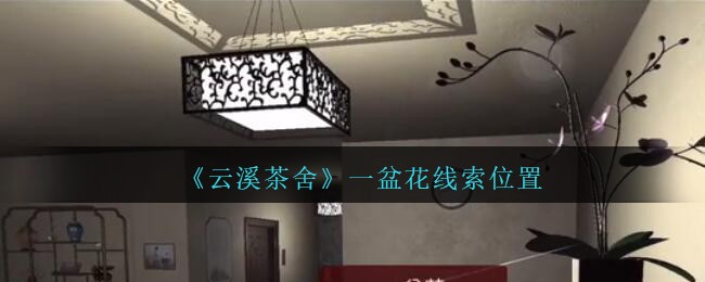 《孙美琪疑案：云溪茶舍》五级线索——一盆花