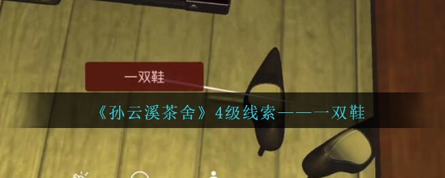 《孙美琪疑案：云溪茶舍》四级线索——一双鞋