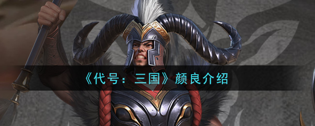 《代号：三国》颜良介绍