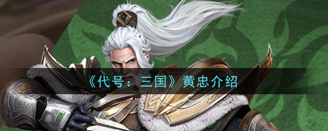 《代号：三国》黄忠介绍