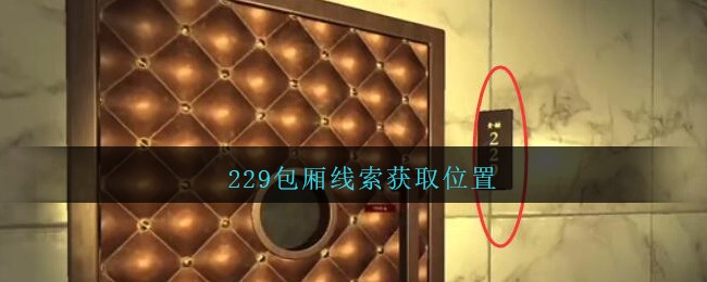 《孙美琪疑案：金酷KTV》五级线索——229包厢