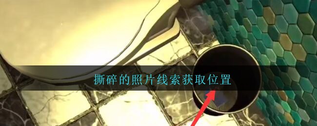 《孙美琪疑案：金酷KTV》五级线索——撕碎的照片