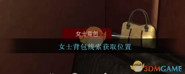 《孙美琪疑案：金酷KTV》五级线索——女士背包
