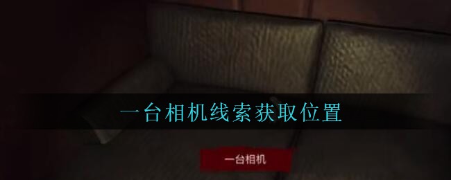 《孙美琪疑案：金酷KTV》五级线索——一台相机