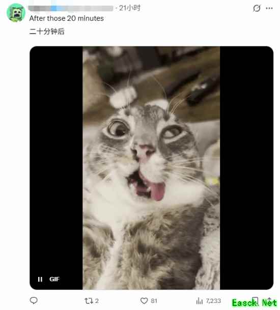 吓哭网友！20分钟清完"所有"二游日常：找个班上吧