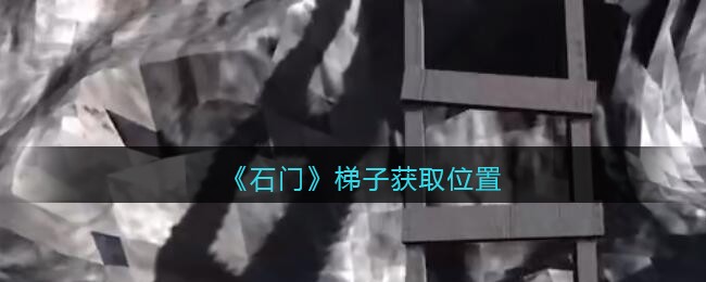 《孙美琪疑案：石门》五级线索——梯子