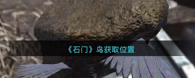 《孙美琪疑案：石门》五级线索——鸟