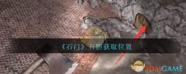 《孙美琪疑案：石门》四级线索——石胆