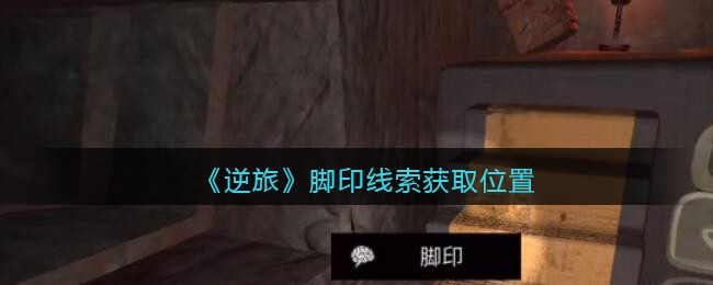 《孙美琪疑案：逆旅》五级线索——脚印