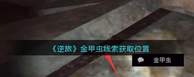 《孙美琪疑案：逆旅》五级线索——金甲虫